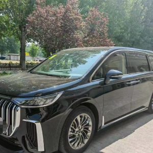 7-seater VOYAH Dreamer