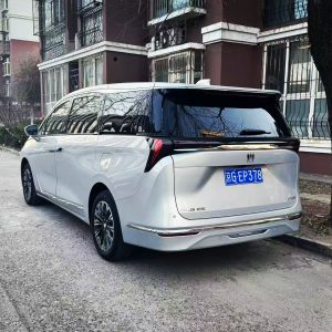 7-seater Buick Business ES (New)